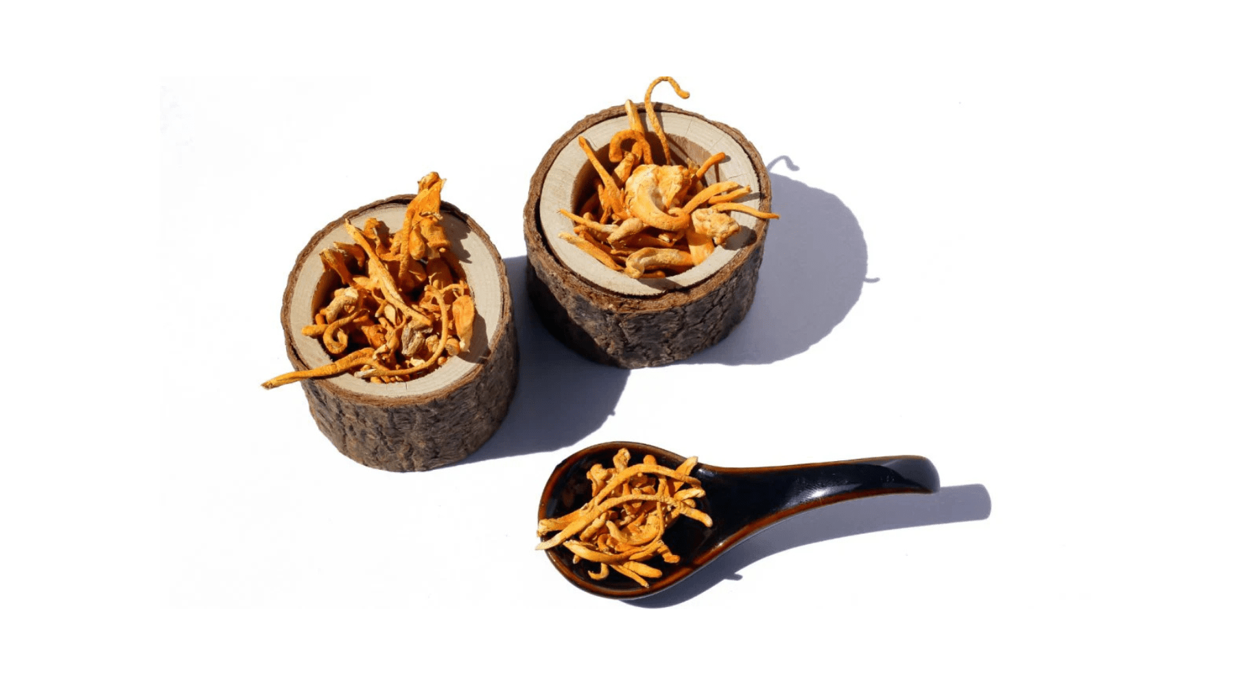 Cordyceps Mushroom: The Science and Tradition Behind a Fascinating Fungus - Pure Fungi