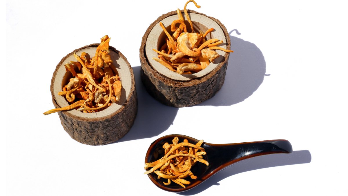 Cordyceps Mushroom: Boost Energy, Endurance, and Support Immune Health - Pure Fungi