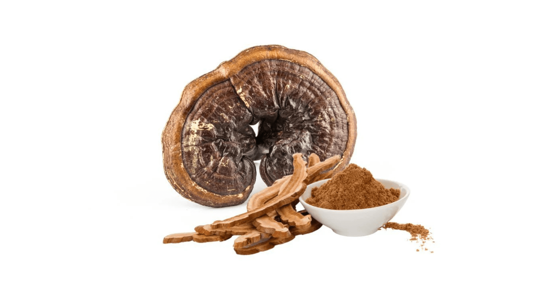 Whole dried Reishi mushroom with dried slices and a bowl of ground Reishi powder β Pure Fungi