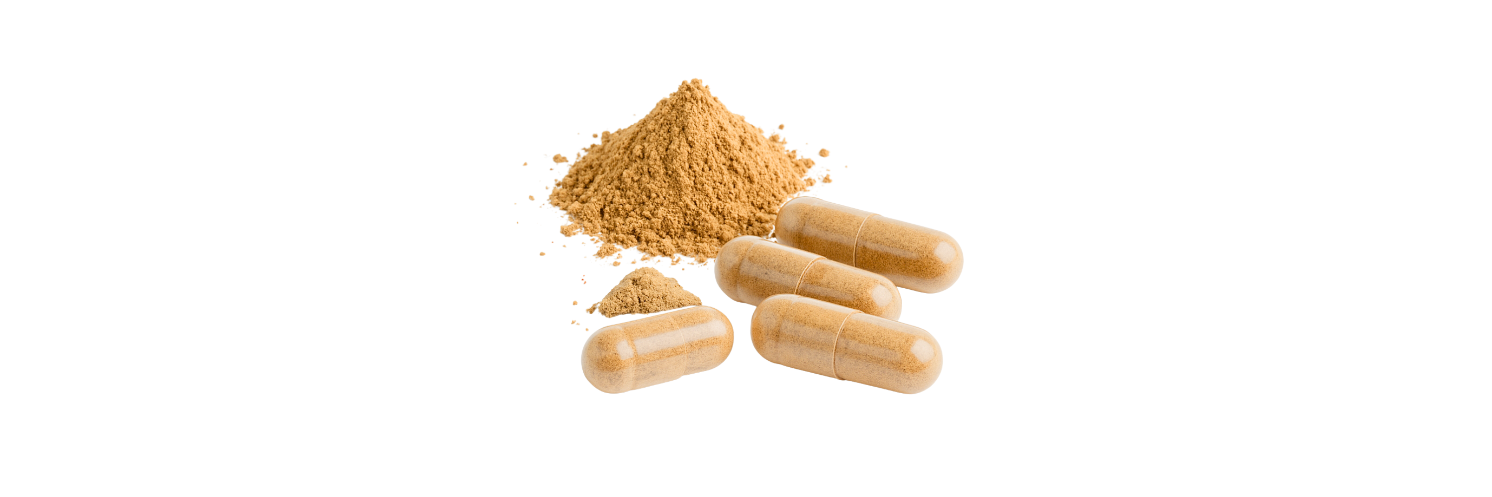 Mushroom extract powder and capsule on a white background