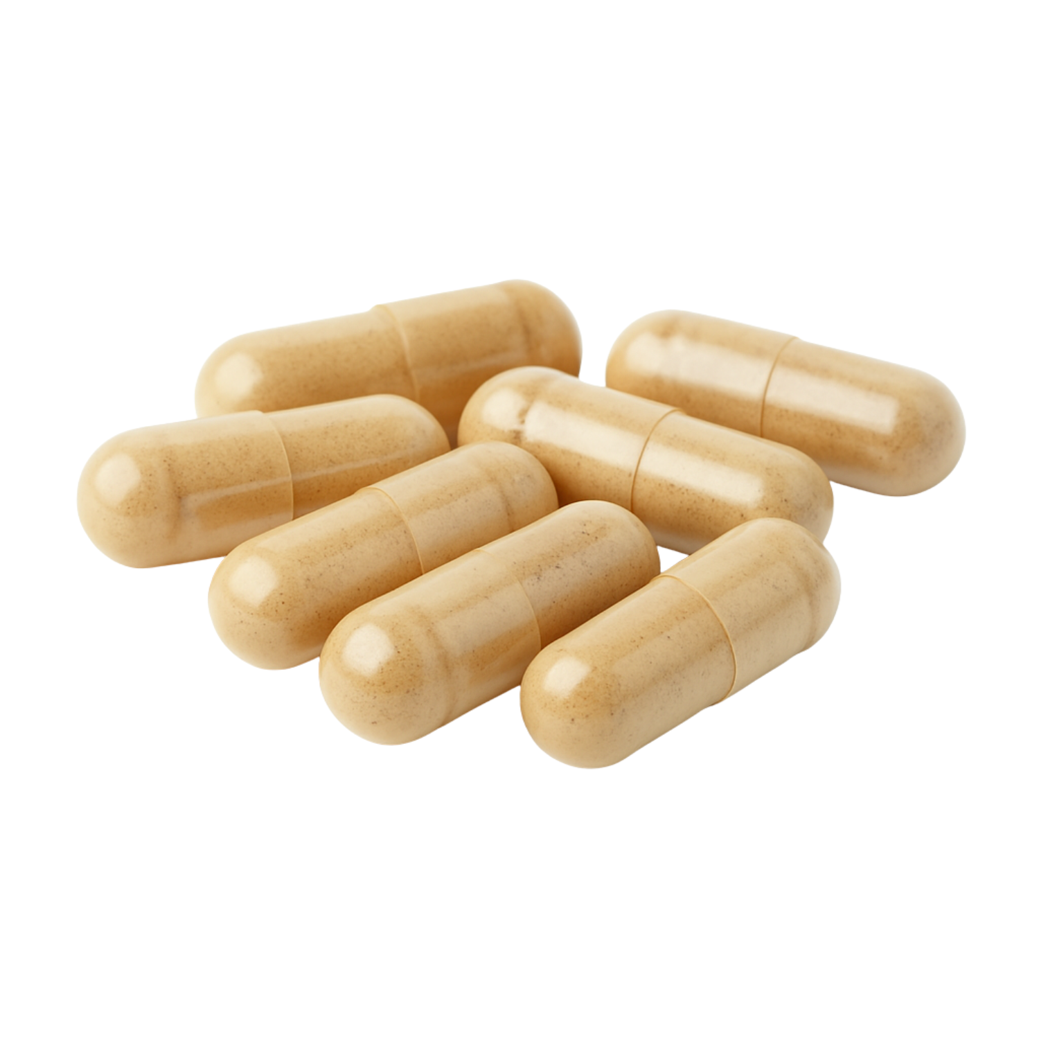 Mushroom extract capsules