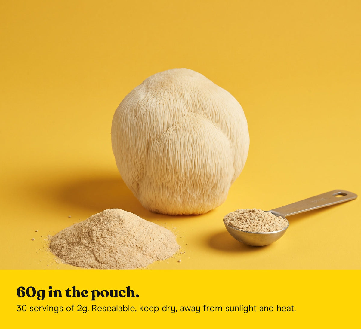 Lion's Mane mushroom beside a mound of Lion's Mane extract powder and a measuring spoon: 60g in the pouch, 30 servings of 2g, resealable