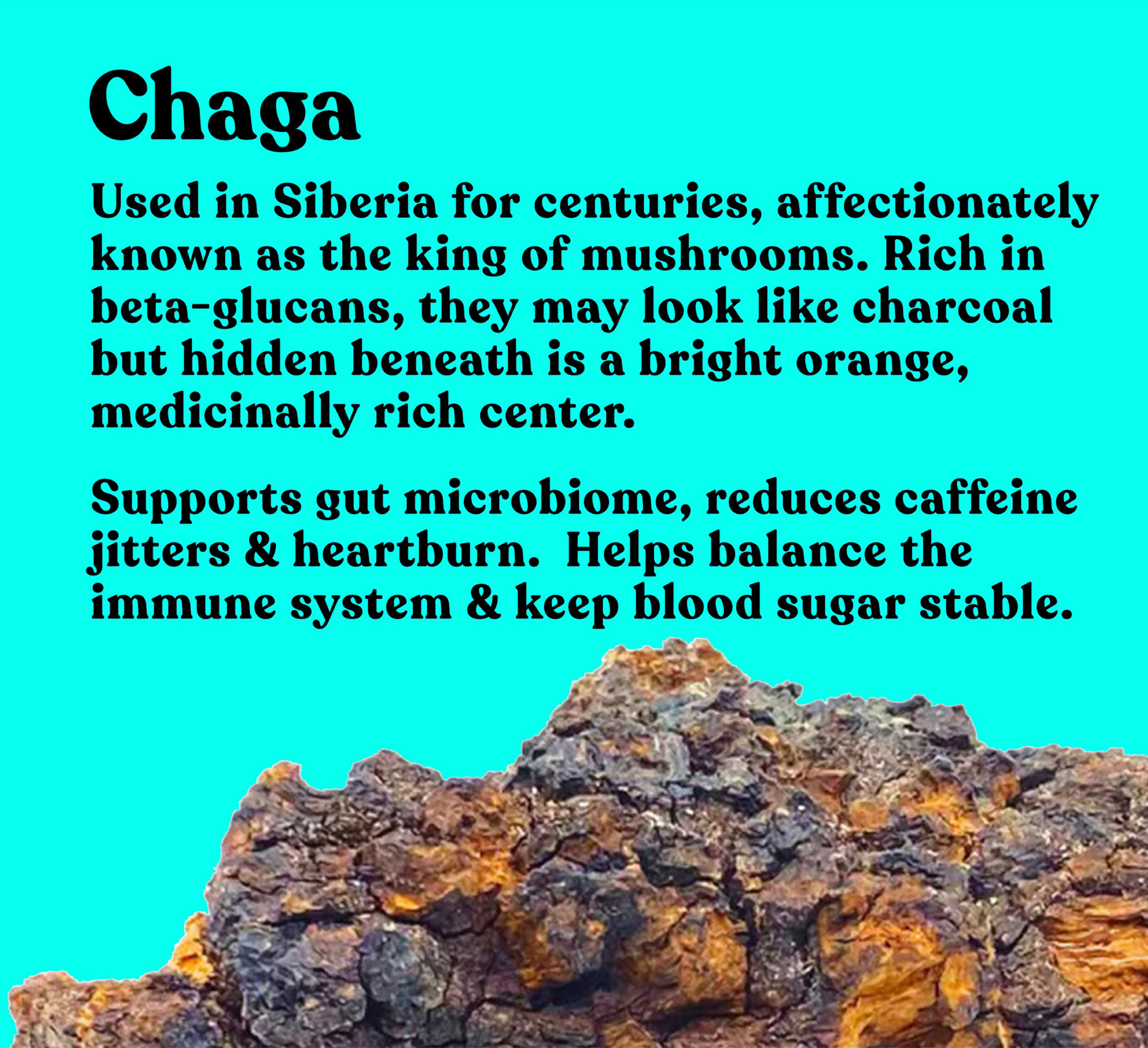 Organic Chaga Extract Powder | 60g | 30 servings - Pure Fungi