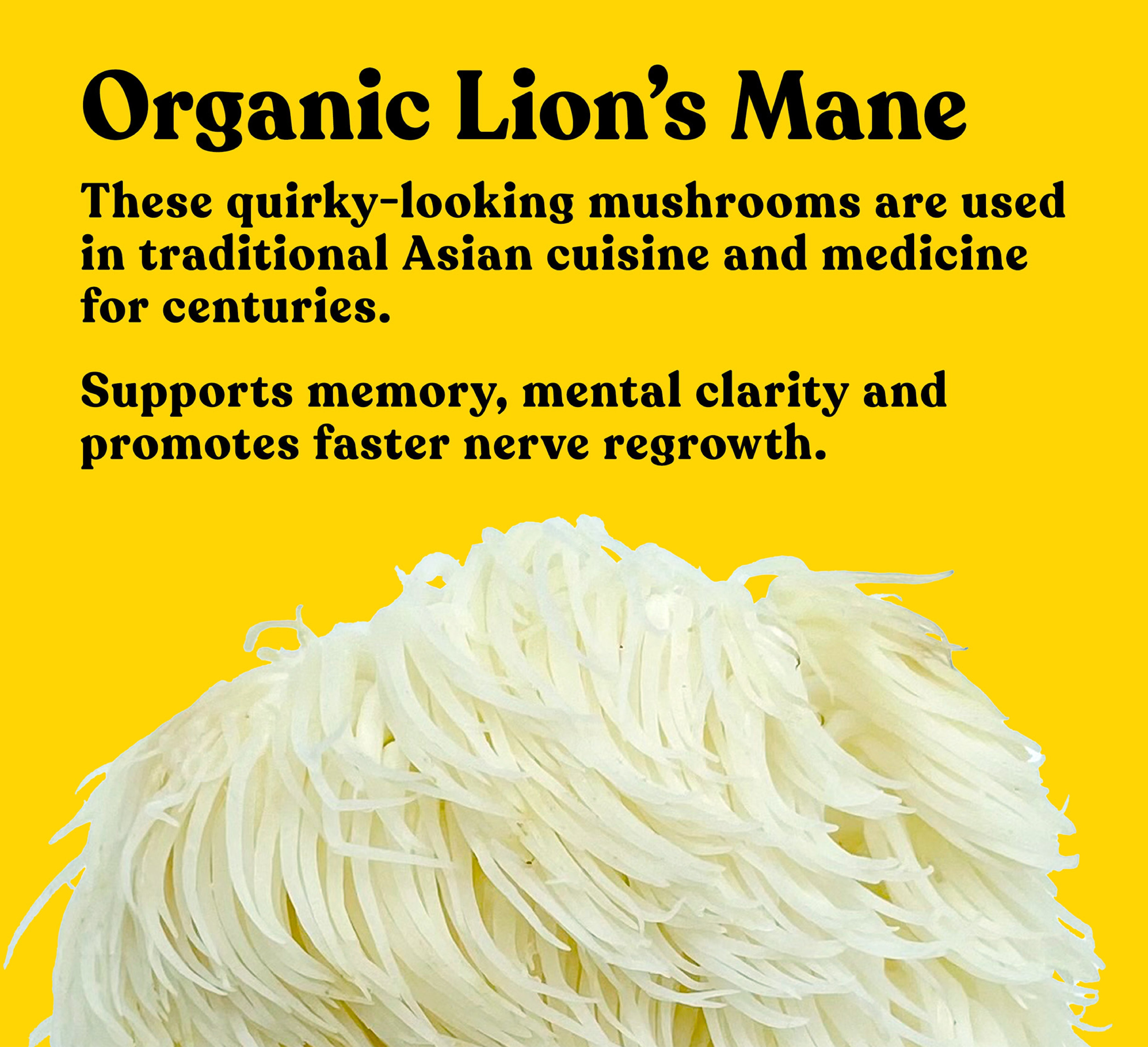 Organic Lion's Mane Extract Capsules | 90 Capsules | 30 servings - Pure Fungi