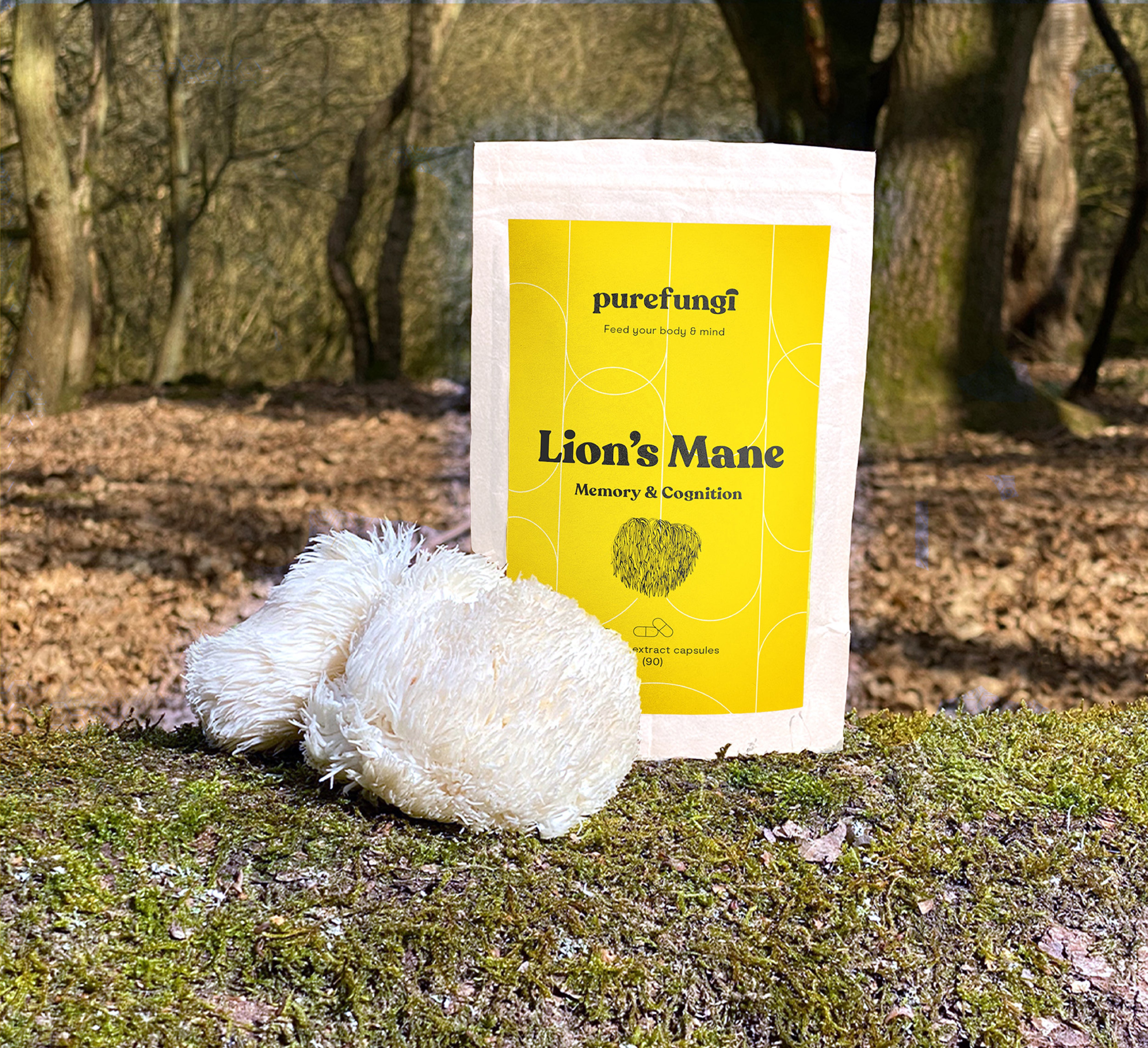 Organic Lion's Mane Extract Capsules | 90 Capsules | 30 servings - Pure Fungi