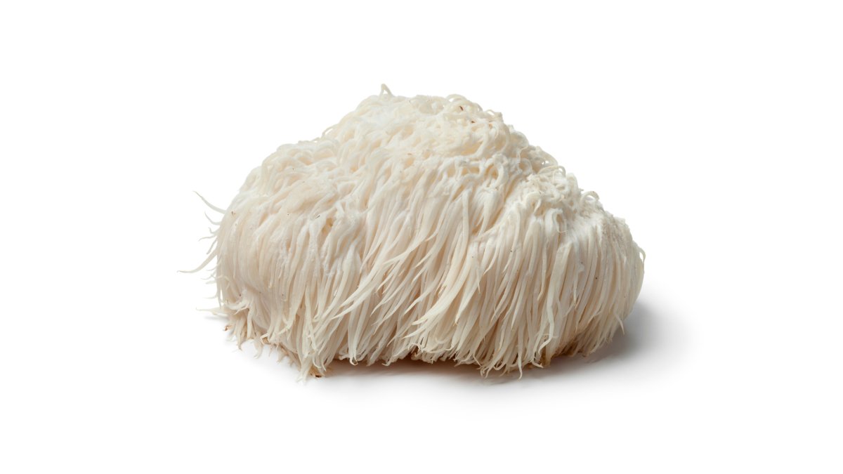Lion's Mane Mushroom: Unlocking Brain Health and Cognitive Potential - Pure Fungi