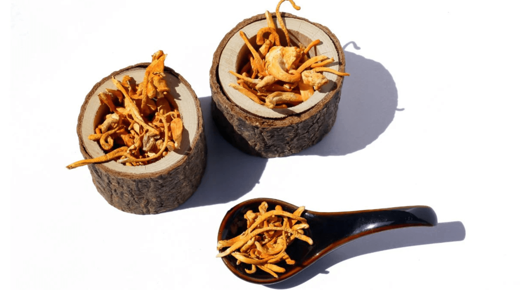 Cordyceps Mushroom: Boost Energy, Endurance, and Support Immune Health - Pure Fungi