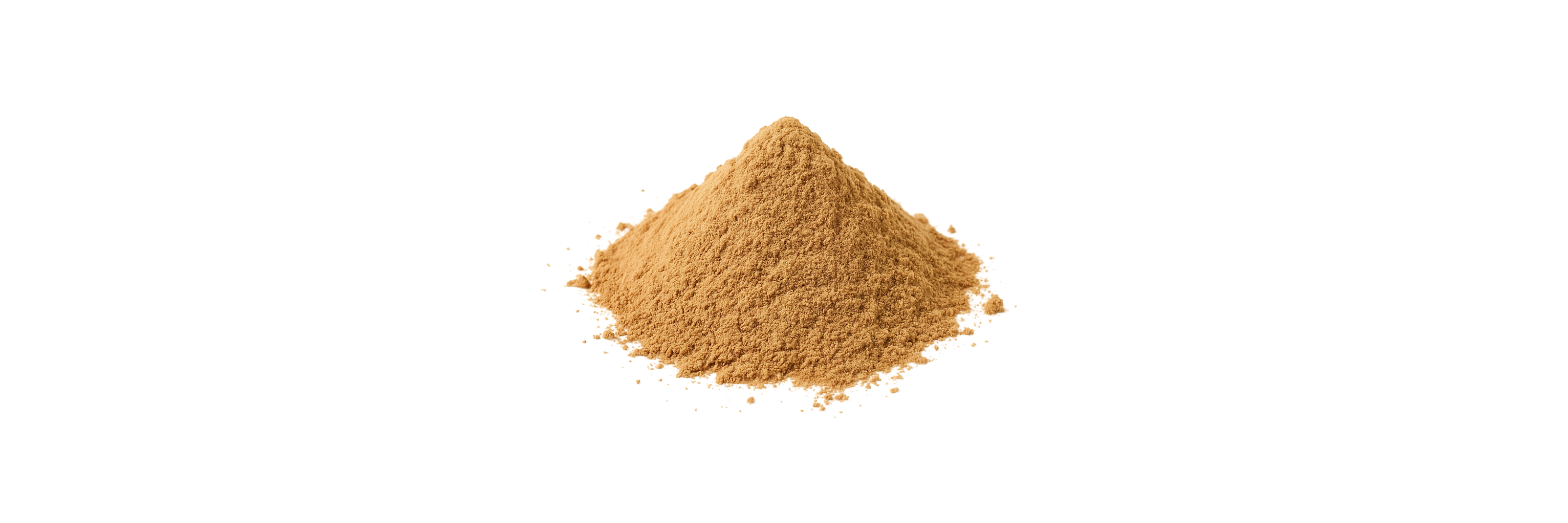 Mushroom extract powder on a white background