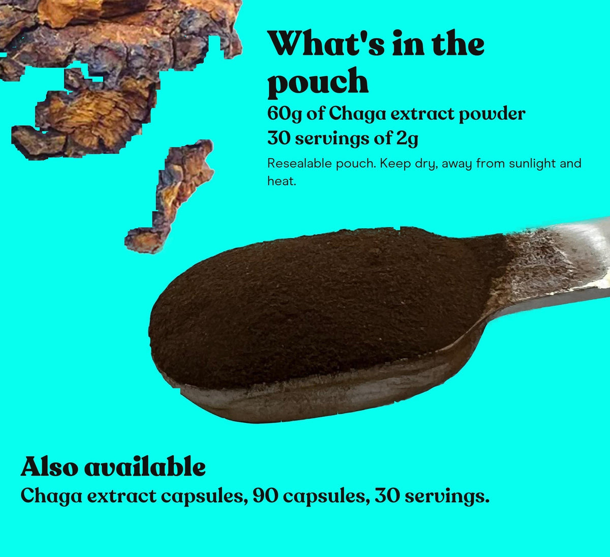 A level teaspoon of Chaga extract powder held over a cup of coffee: one serving is up to 2g, once or twice a day
