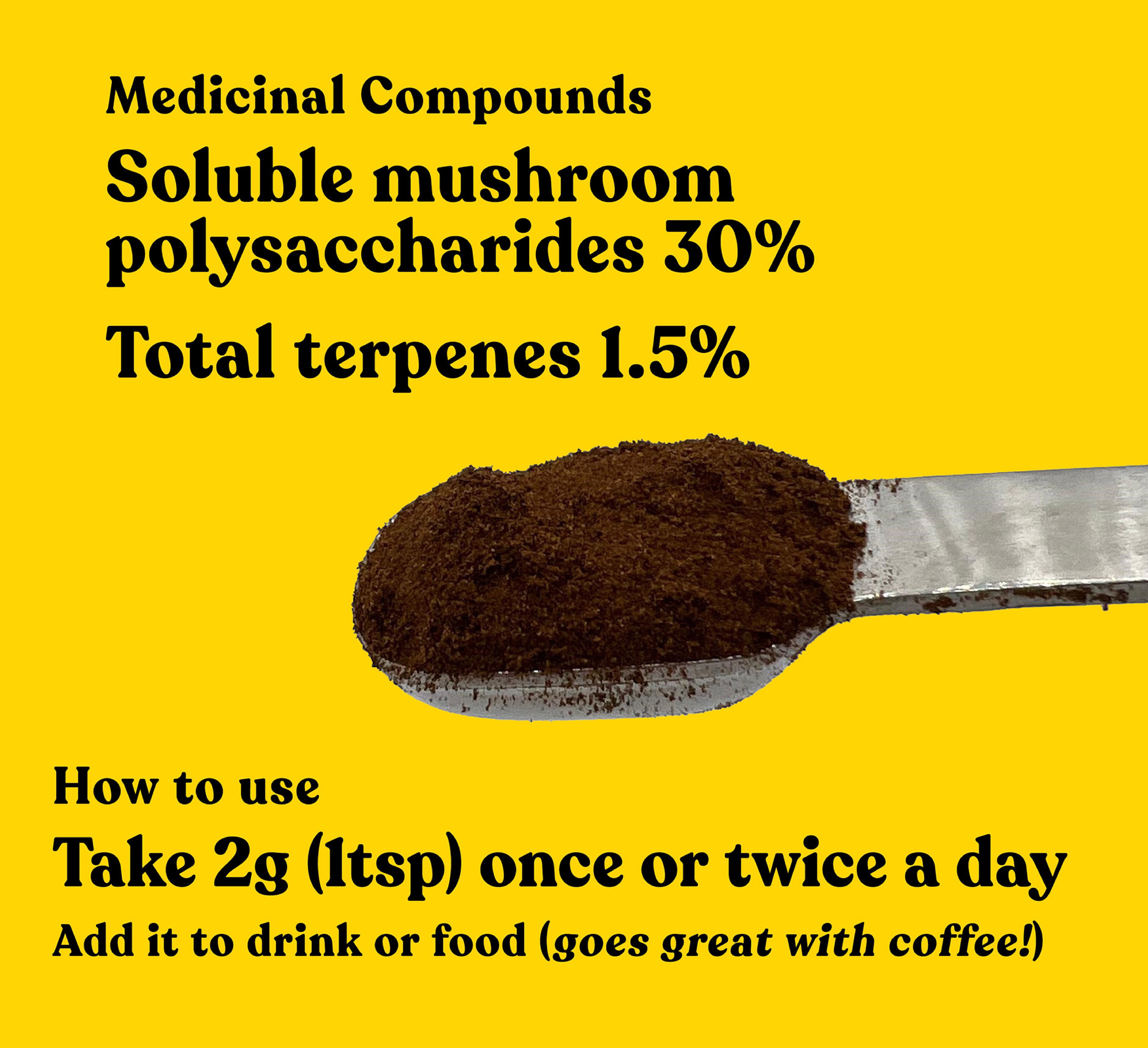 Organic Lion's Mane Extract Powder | 60g | 30 servings - Pure Fungi