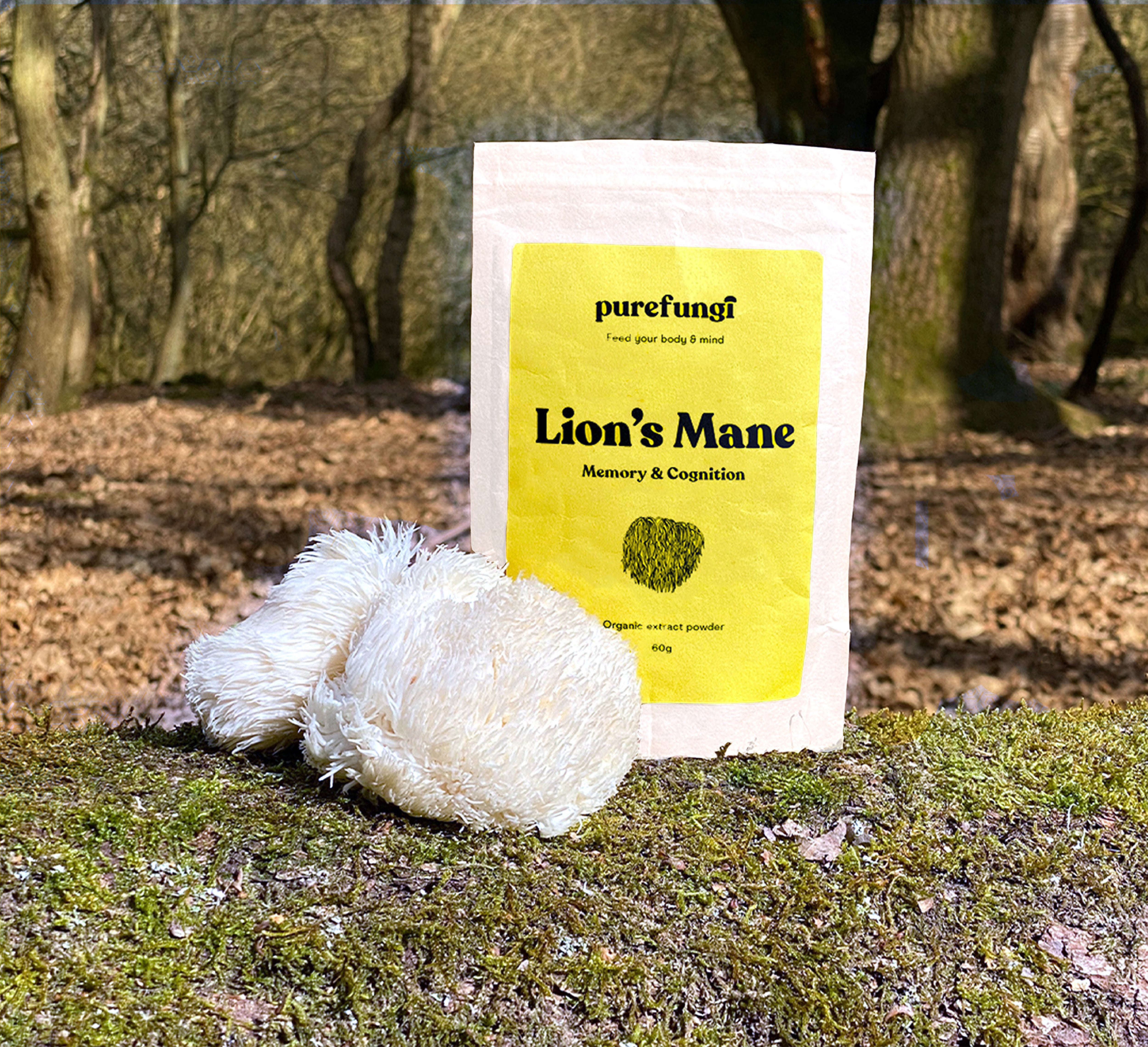 Organic Lion's Mane Extract Powder | 60g | 30 servings - Pure Fungi