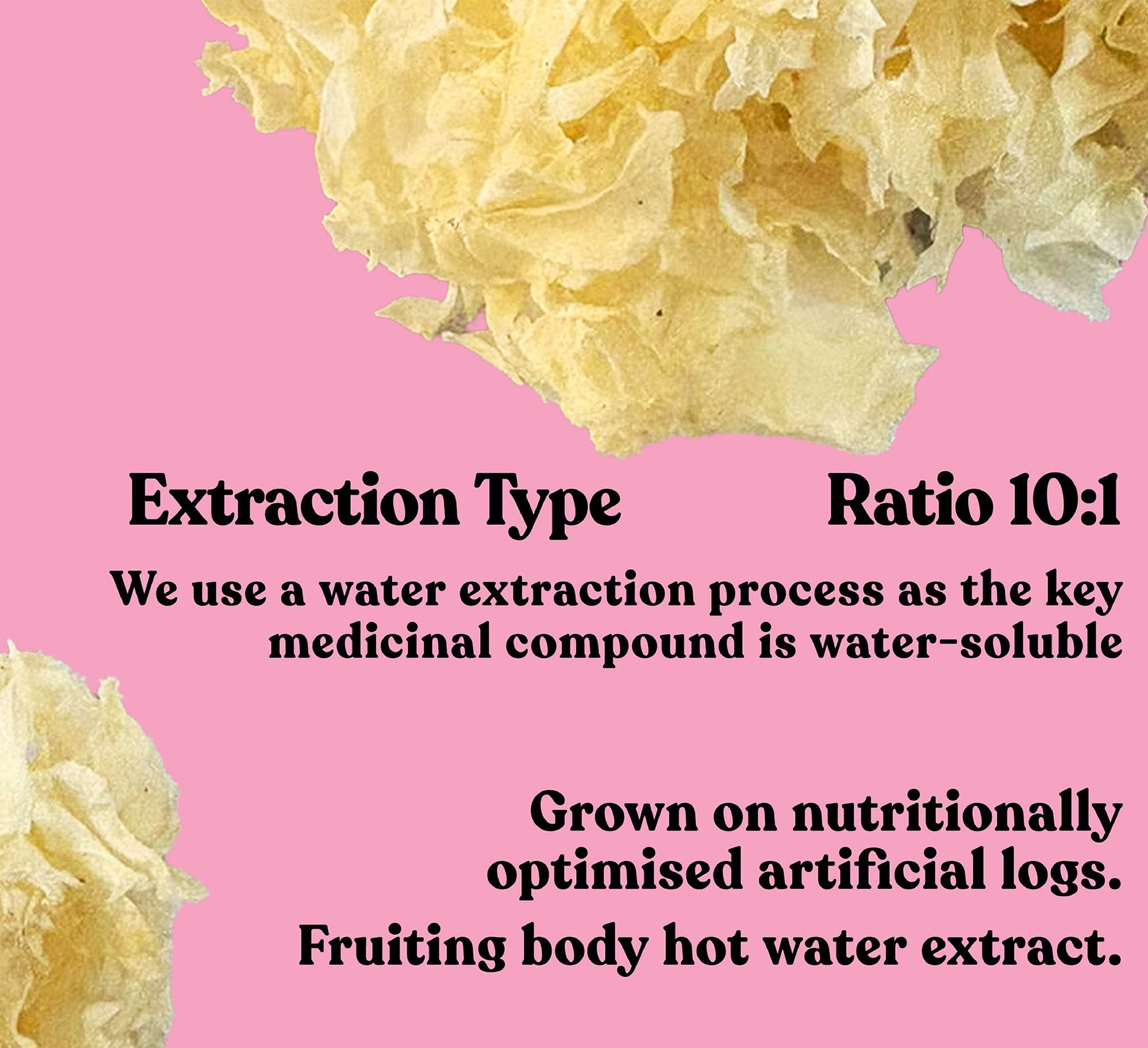Organic Snow Fungus Extract Powder | 60g | 30 servings - Pure Fungi